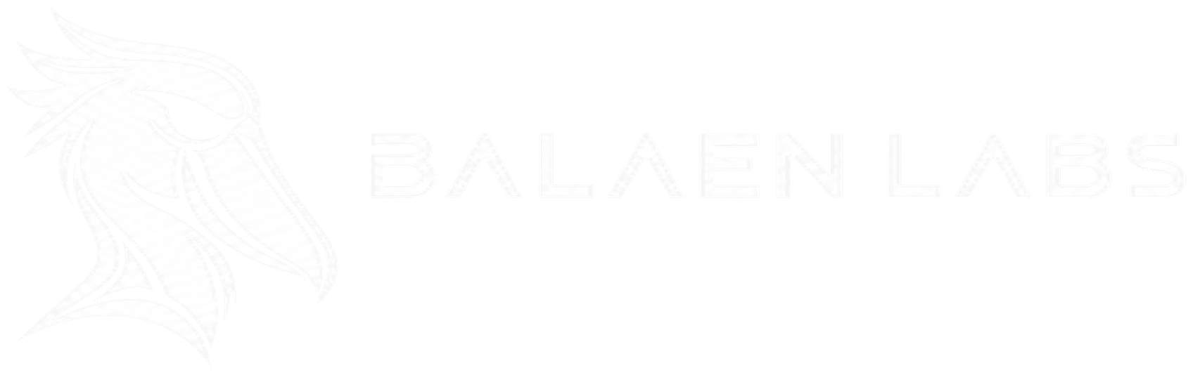Balaen Labs