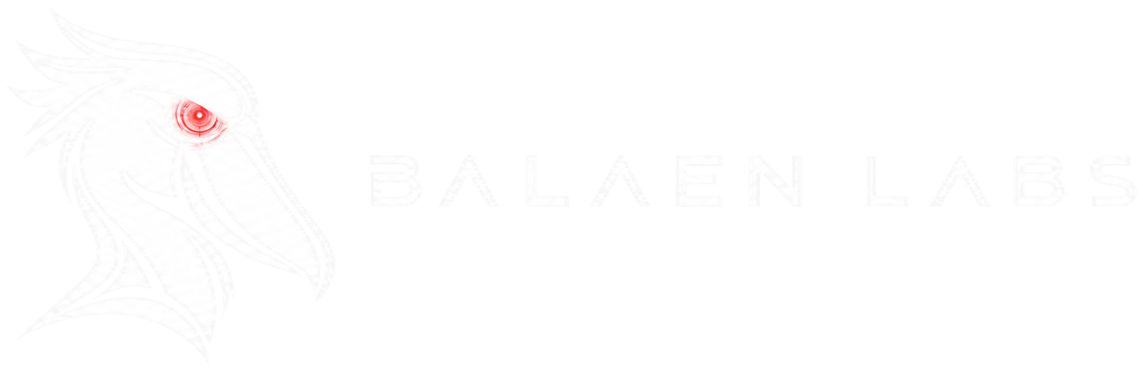 Balaen Labs